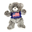 Torkia Gifts - Teddy Bears with New York City & Flag T-Shirt